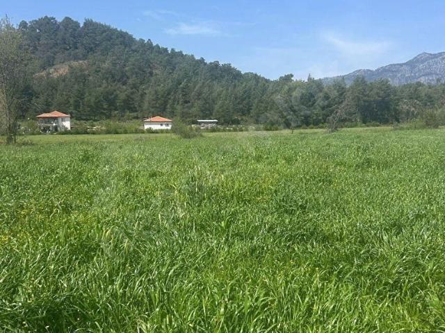 Köyceğiz, Muğla içerisinde satılık Arsa