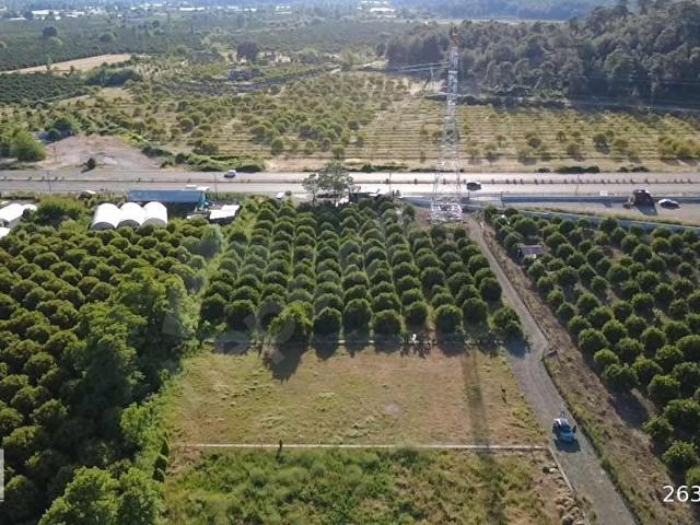 Köyceğiz, Muğla içerisinde satılık Arsa
