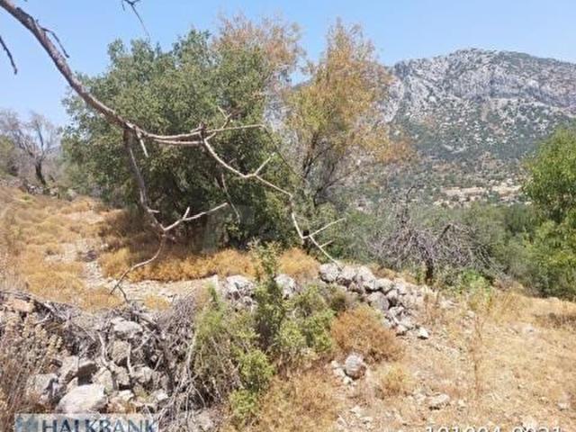 Marmaris, Muğla içerisinde satılık Arsa