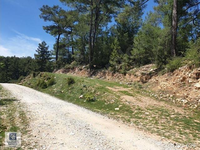 Muğla içerisinde satılık Arsa