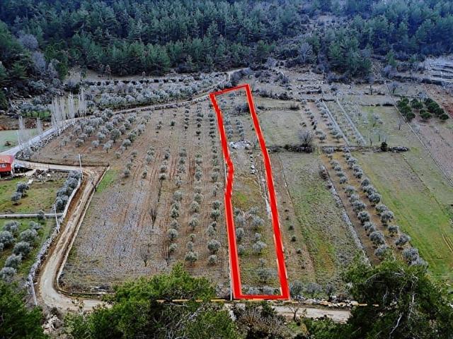 Muğla içerisinde satılık Arsa