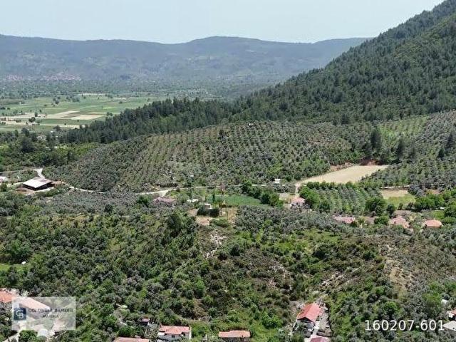 Muğla içerisinde satılık Arsa