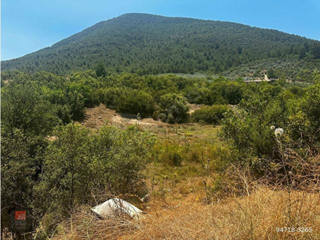 Muğla içerisinde satılık Arsa