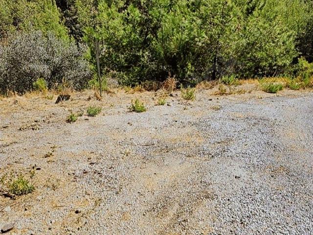 Muğla içerisinde satılık Arsa