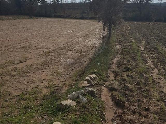 Muğla içerisinde satılık Arsa