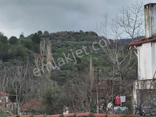 Muğla içerisinde satılık Villa