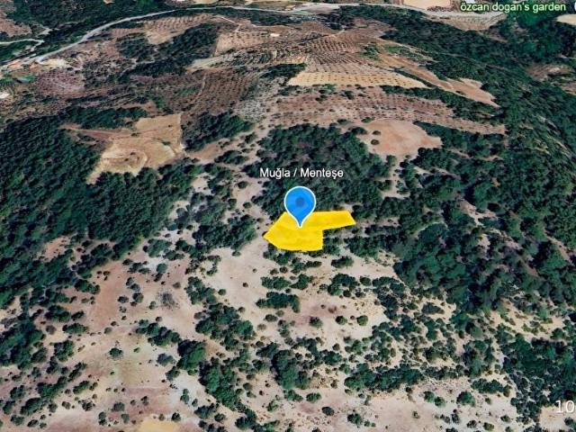 Muğla içerisinde satılık Arsa