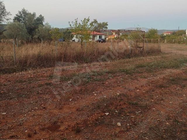 Doğan, Menteşe içerisinde satılık Arsa
