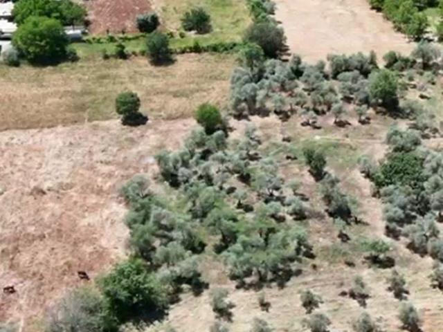Muğla içerisinde satılık Arsa