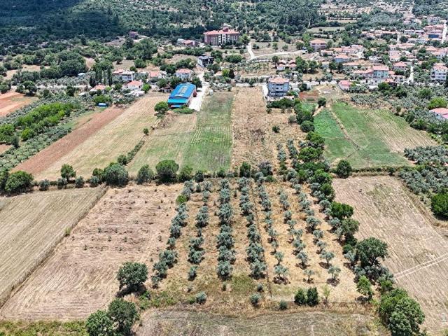 Muğla içerisinde satılık Arsa