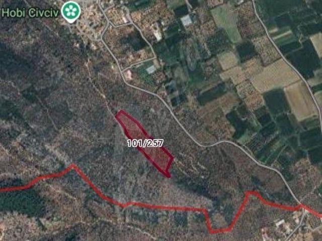 Milas, Muğla içerisinde satılık mülk