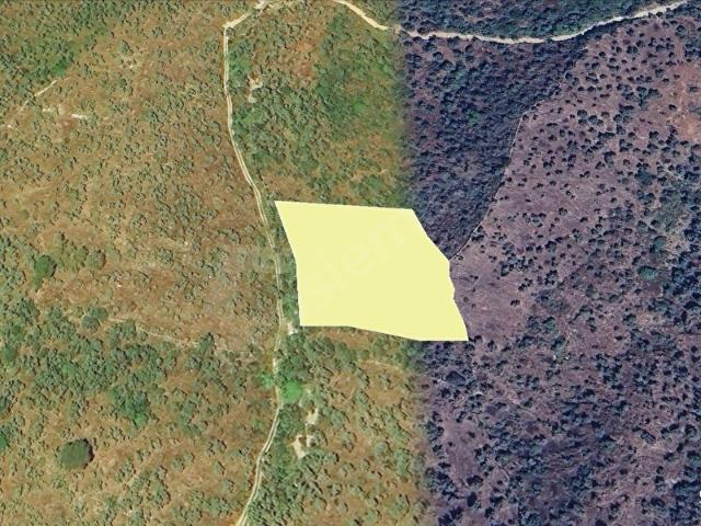 Milas, Muğla içerisinde satılık mülk