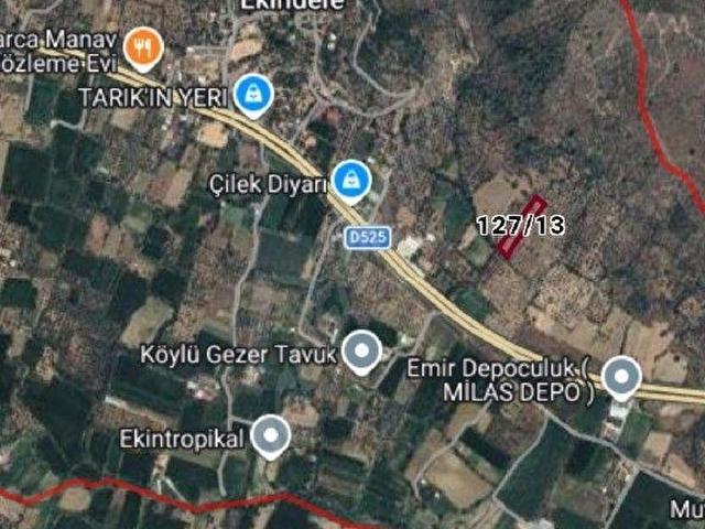 Milas, Muğla içerisinde satılık mülk