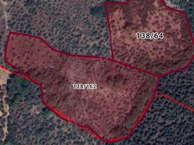 Milas, Muğla içerisinde satılık mülk