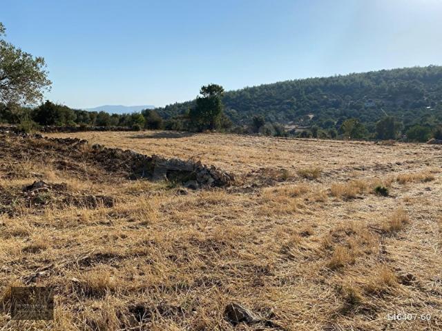 Milas, Muğla içerisinde satılık Arsa