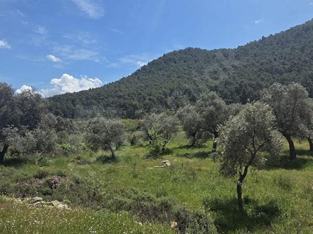 Milas, Muğla içerisinde satılık Arsa