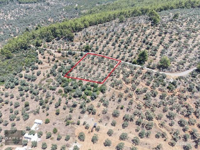 Milas, Muğla içerisinde satılık Arsa