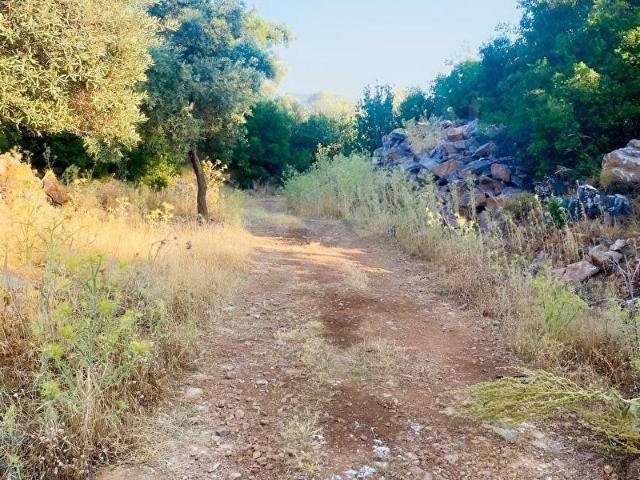 Kalınağıl, Milas içerisinde satılık mülk