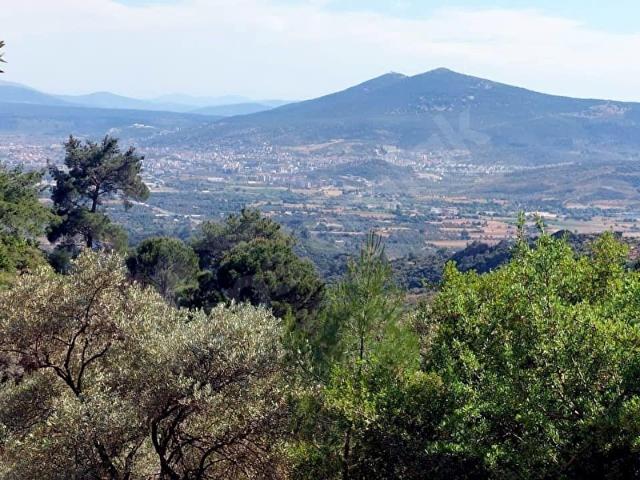 Milas, Muğla içerisinde satılık mülk