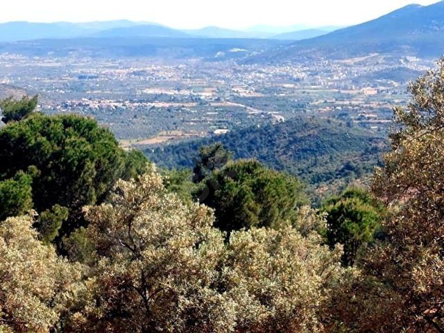 Milas, Muğla içerisinde satılık mülk