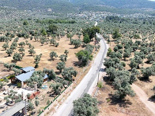 Milas, Muğla içerisinde satılık mülk