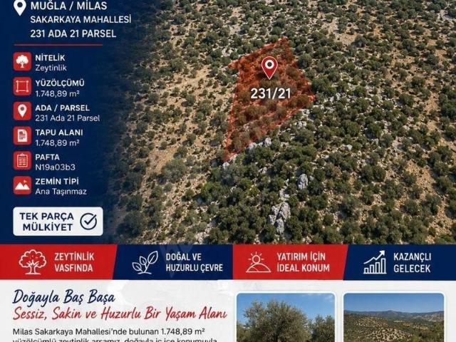Milas, Muğla içerisinde satılık Arsa
