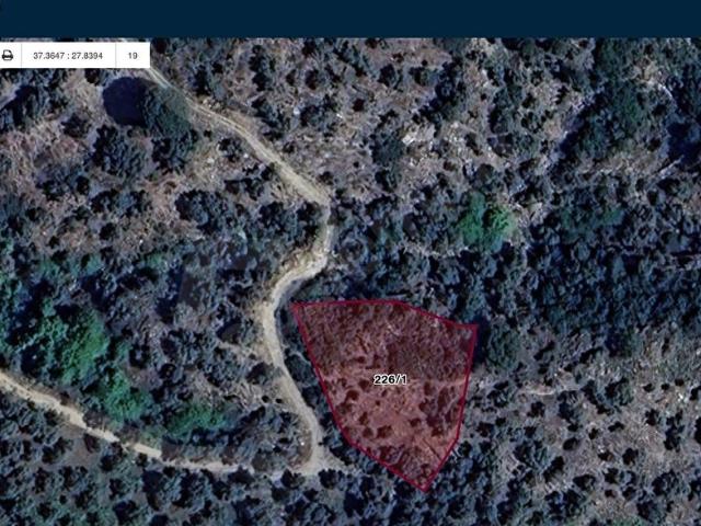 Milas, Muğla içerisinde satılık mülk