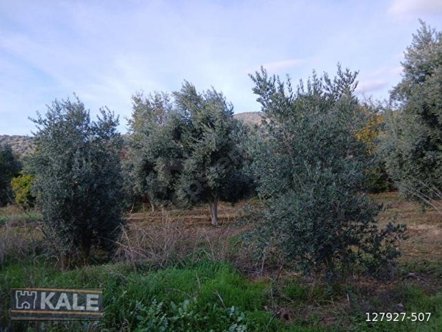 Milas, Muğla içerisinde satılık Arsa