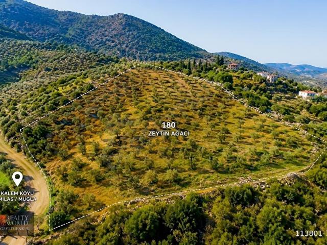 Kalem, Milas içerisinde satılık mülk