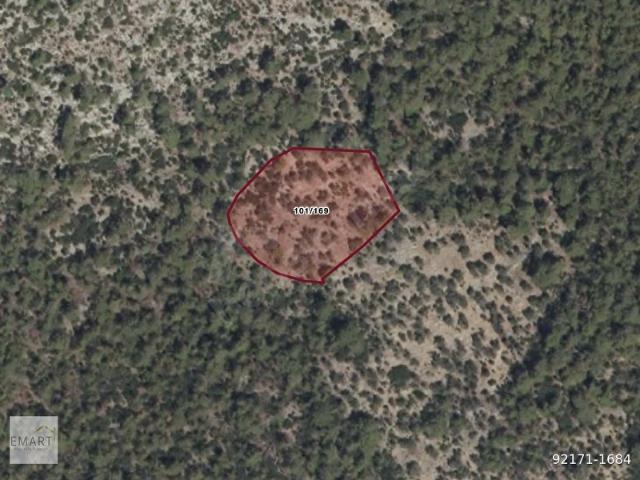 Milas, Muğla içerisinde satılık mülk