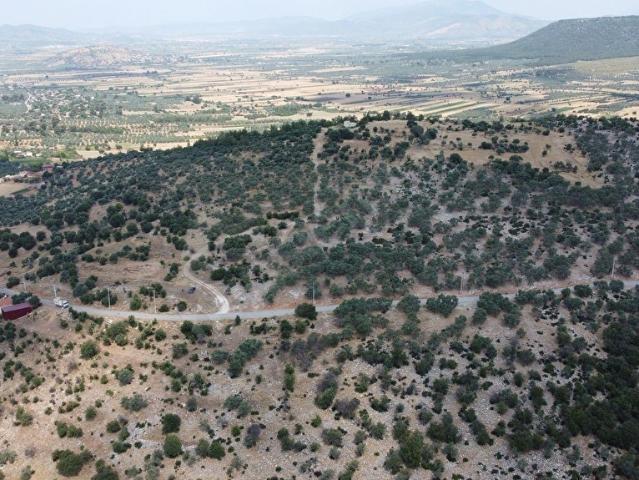 Milas, Muğla içerisinde satılık Arsa