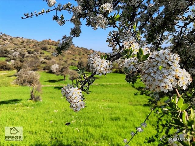 Milas, Muğla içerisinde satılık Arsa