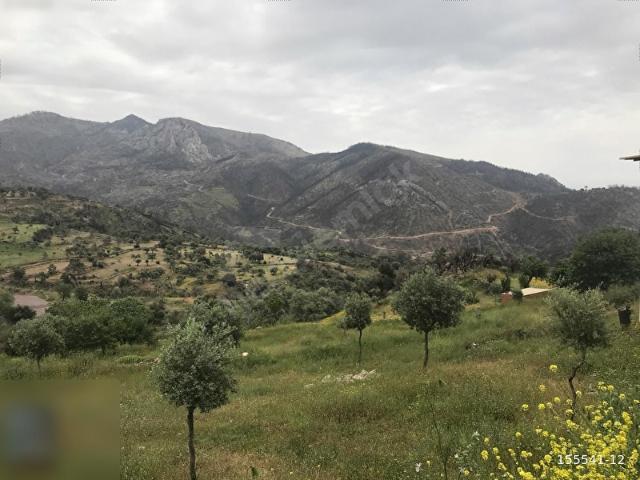 Milas, Muğla içerisinde satılık Arsa
