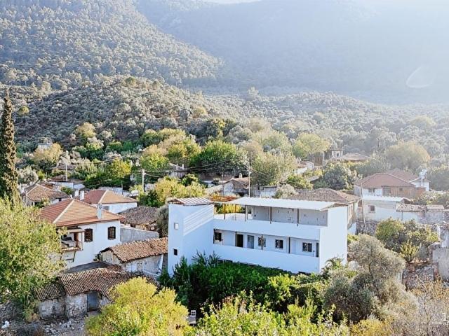 Milas, Muğla içerisinde satılık Villa