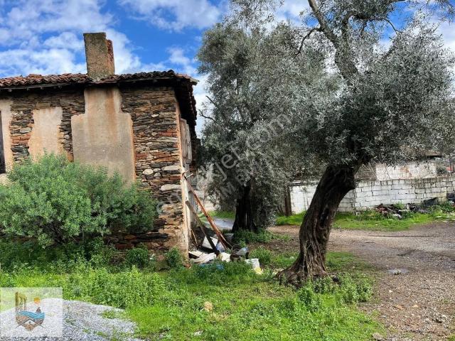 Milas, Muğla içerisinde satılık Villa