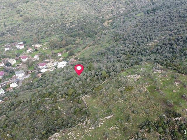 Milas, Muğla içerisinde satılık mülk