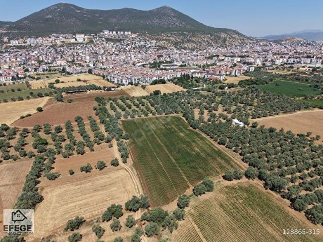 Milas, Muğla içerisinde satılık Arsa