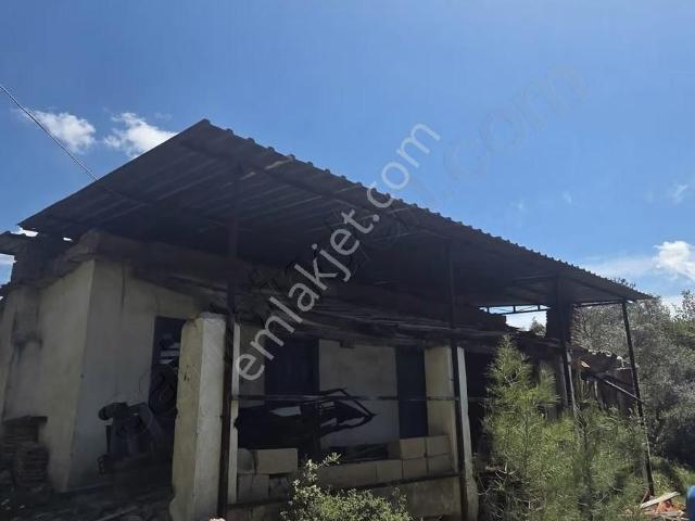 Milas, Muğla içerisinde satılık Villa