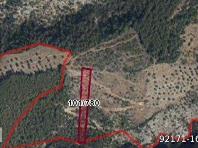 Milas, Muğla içerisinde satılık mülk