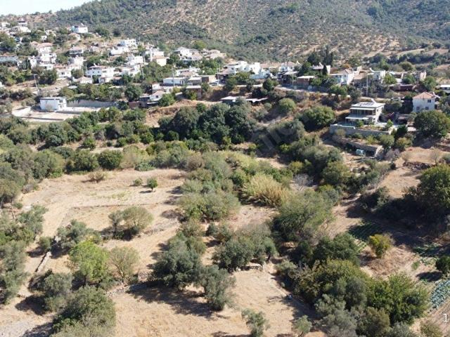 Milas, Muğla içerisinde satılık mülk