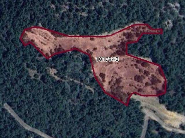 Kayadere, Milas içerisinde satılık Arsa