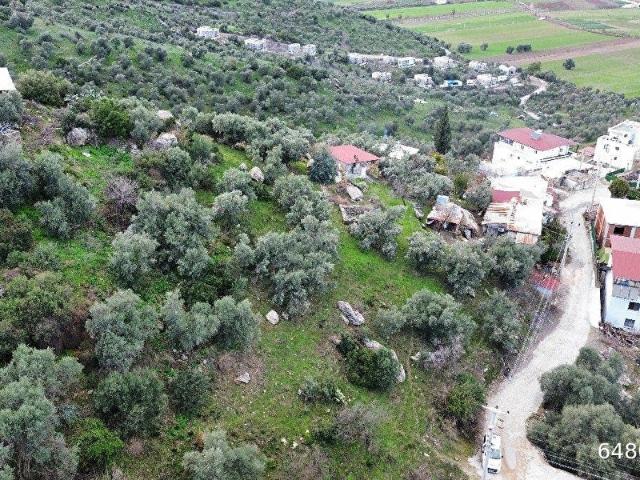 Milas, Muğla içerisinde satılık Arsa