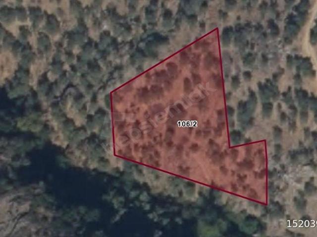 Milas, Muğla içerisinde satılık Arsa