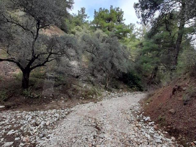 Milas, Muğla içerisinde satılık mülk