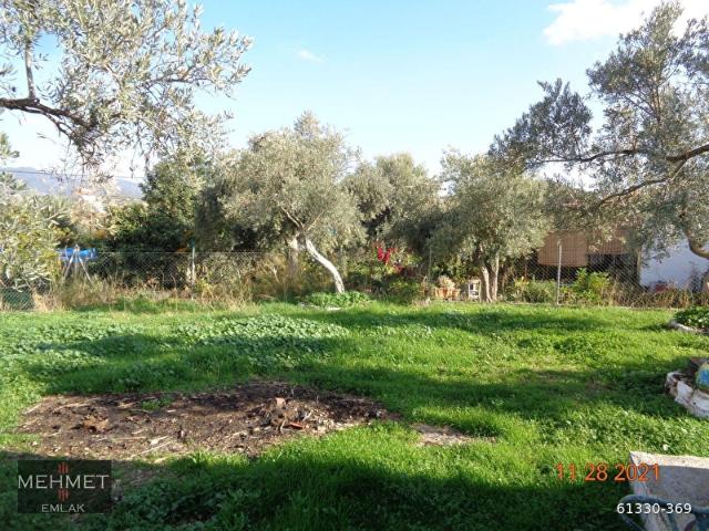 Muğla Merkez içerisinde satılık Bina