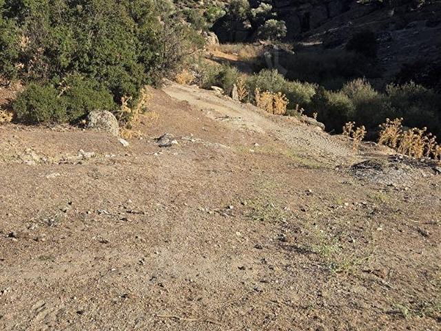 Milas, Muğla içerisinde satılık mülk