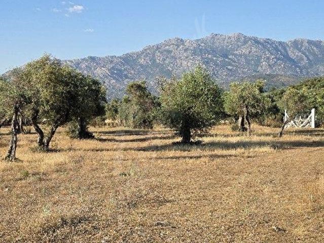 Milas, Muğla içerisinde satılık Arsa
