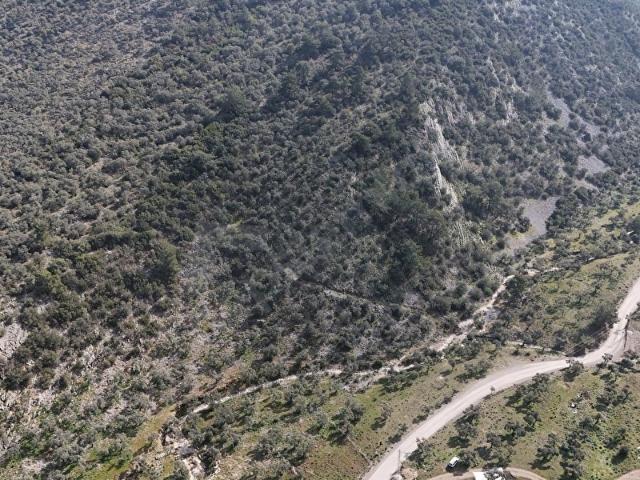 Milas, Muğla içerisinde satılık mülk