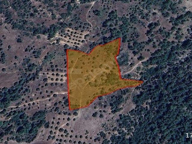 Milas, Muğla içerisinde satılık Arsa