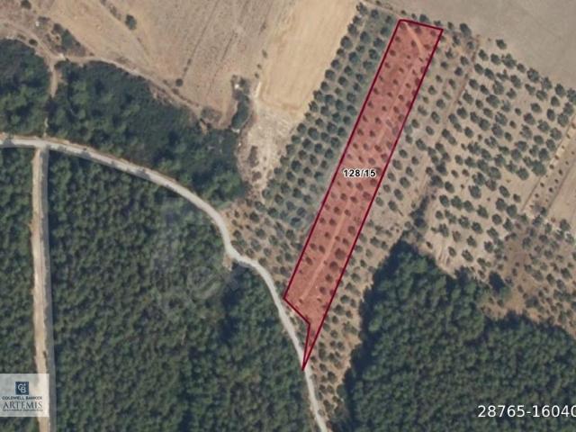 Milas, Muğla içerisinde satılık mülk